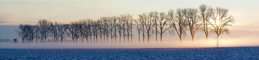 /home/jonkman/domains/jonkmanfotografie.nl/public_html/nieuwsfotos/1359469176.jpg